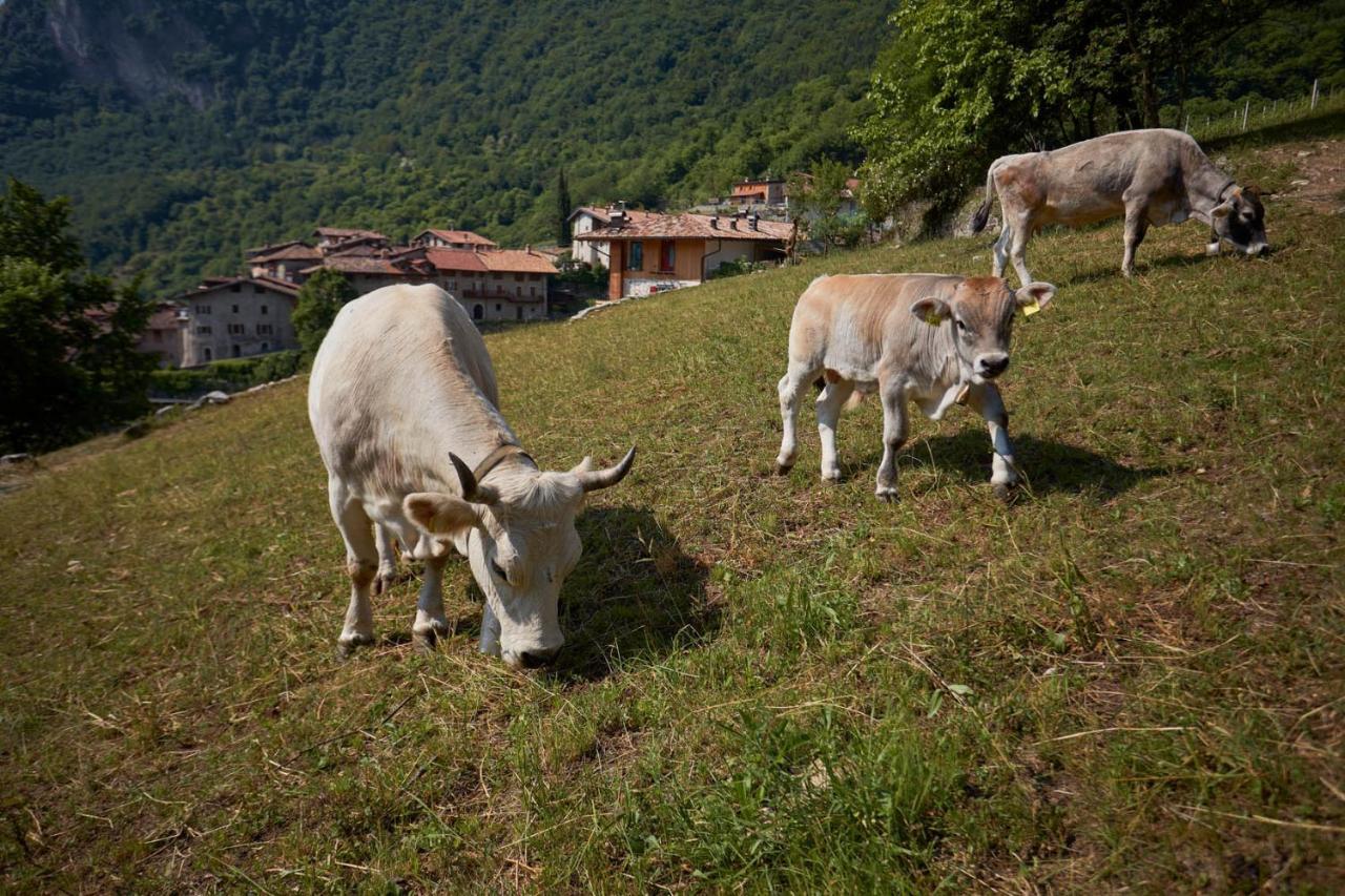 Vila Le Terre Di Gu Tenno Exteriér fotografie
